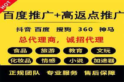 行业领先SEM服务公司案例研究